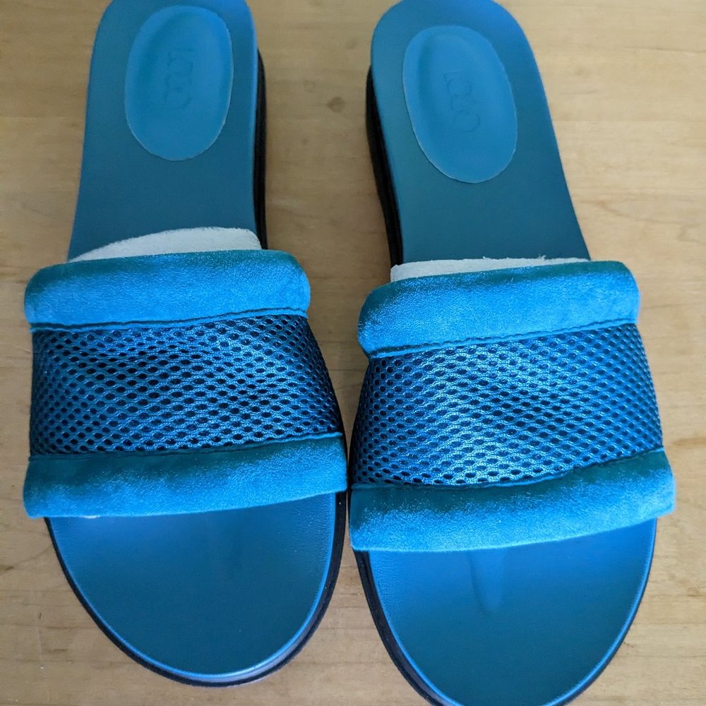 Logo Aqua Mules
